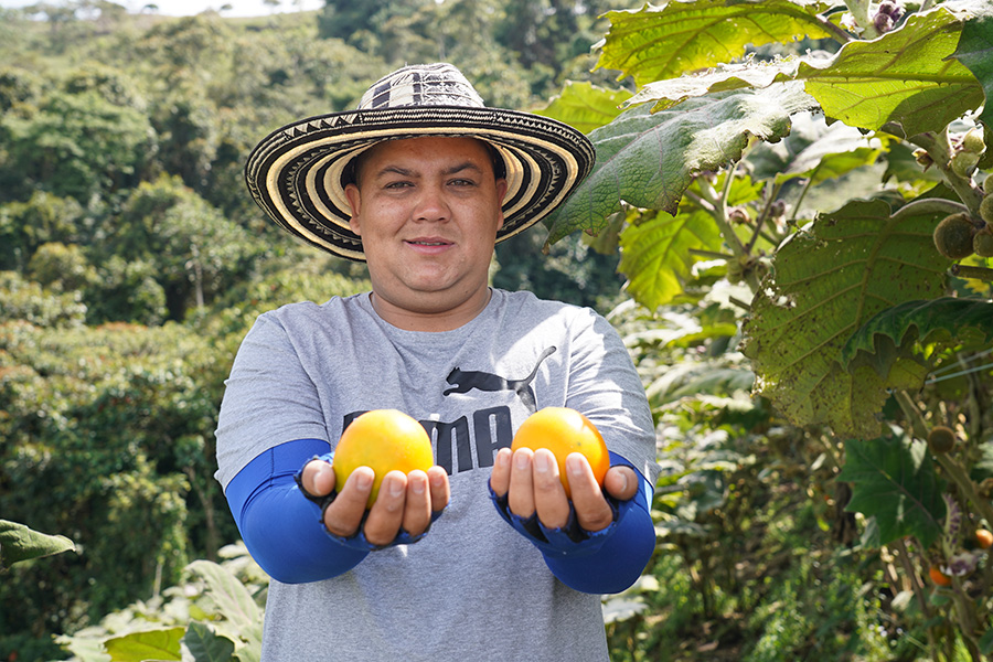 El emprendimiento logra crear más de 3.000 empleos indirectos para habitantes de Urrao (Antioquia).  