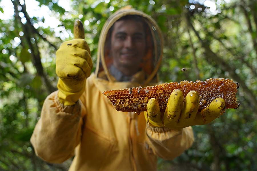 El SENA es un gestor de emprendimientos como ‘Paraíso Apícola’, ubicado en Urrao.