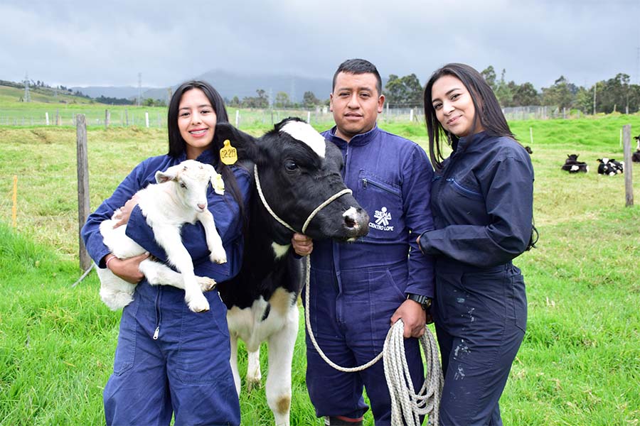 La celebración del Día Mundial de la Leche en Nariño destaca la importancia de este alimento en la vida diaria y su impacto en e