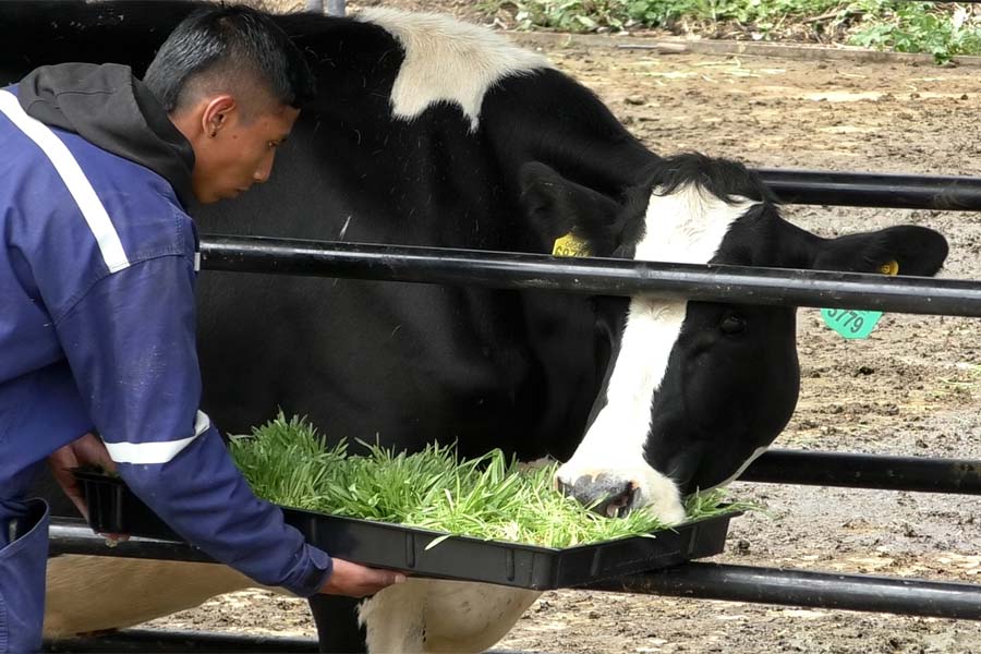 Esta nueva generación de agricultores está liderando el camino hacia un futuro más sustentable y eficiente.
