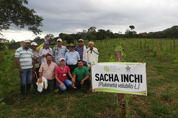 Crean una nueva alternativa de empoderamiento económico para los campesinos