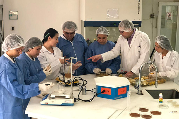 Aprendices del SENA utilizan cáscara de naranja para sanar heridas 