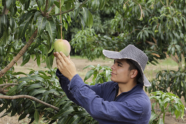 SENA y FAO suscriben alianza para fortalecer el desarrollo rural en Colombia