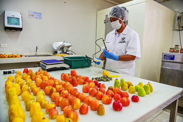 Se fortalece el sector agro en el Atlántico