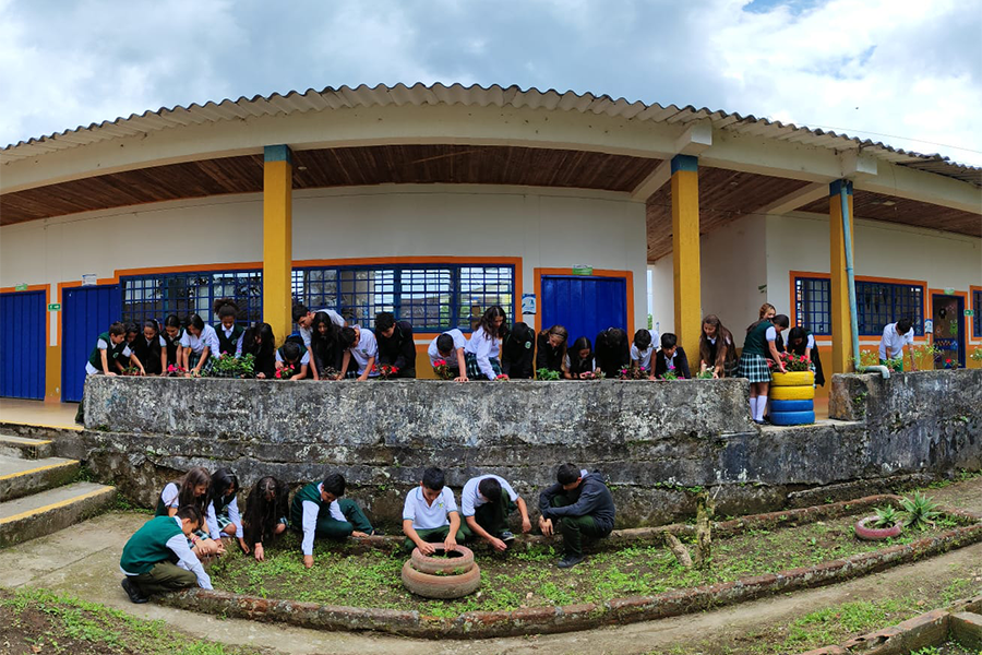 Los estudiantes de la institución educativa Francisco Miranda, ubicada en el corregimiento La India, en Filandia (Quindío), hace