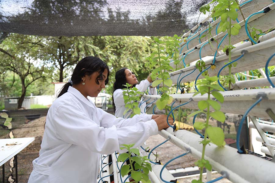 En total son 27 estudiantes de instituciones educativas públicas de Neiva los que se forman como técnicos en Alistamiento de Lab