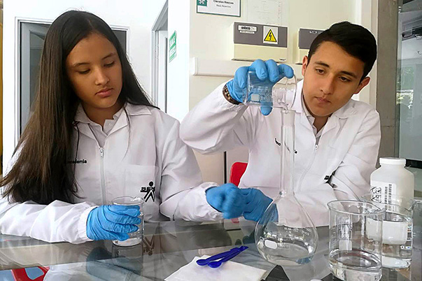 Investigación busca crear nueva materia prima para la fabricación de bolsas