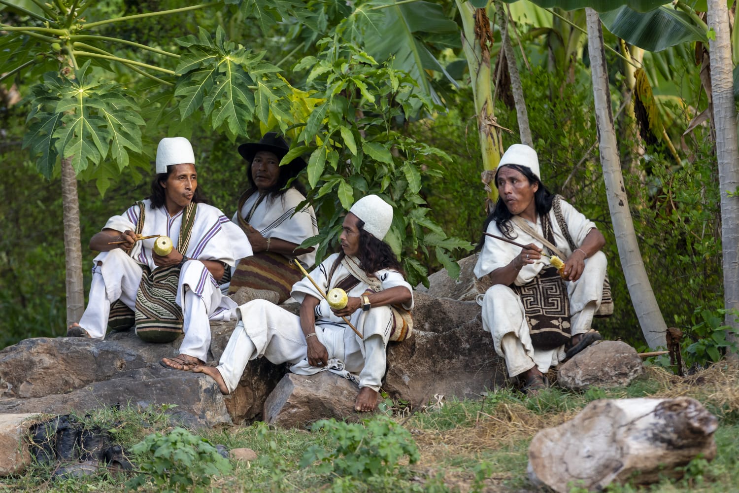‘Tejido de paz’ es una iniciativa del SENA con el apoyo de la OIT que propone la hoja de coca para usos como el abono de cultivo