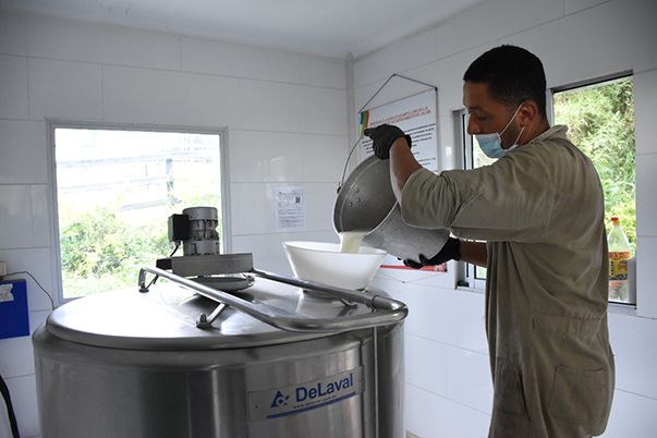 Las principales alianzas están encaminadas a fortalecer los encadenamientos productivos más importantes para el departamento