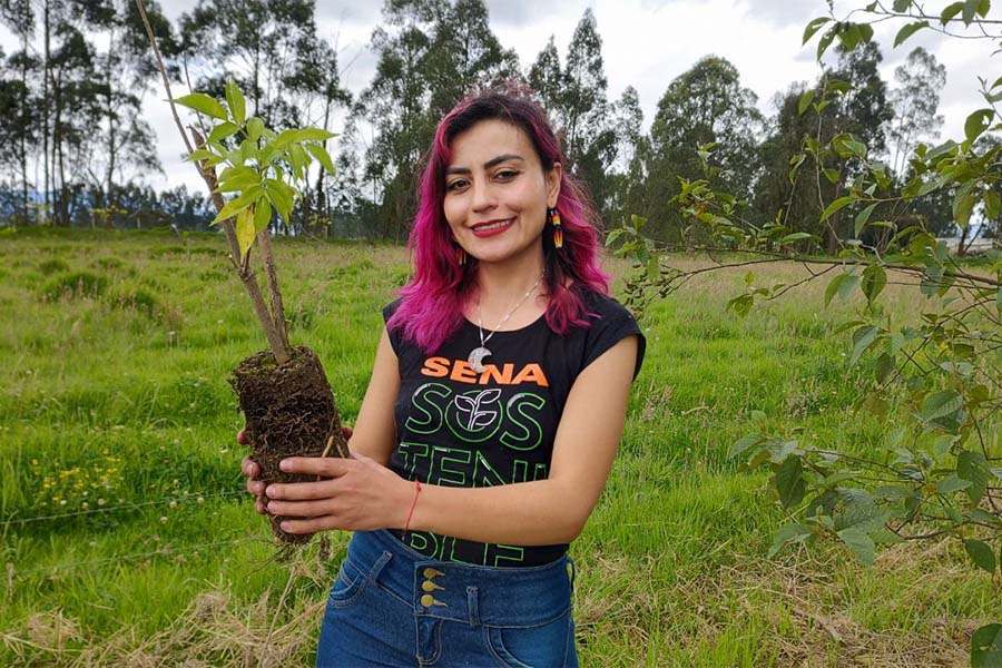 La siembra de los árboles juega un papel crucial en la mitigación del cambio climático y la protección de los recursos hídricos