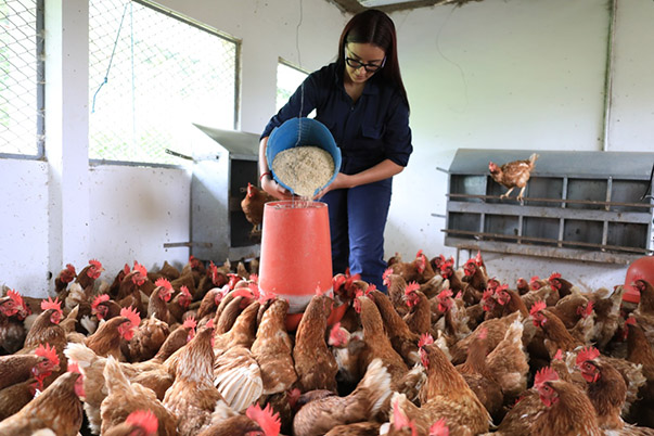 1.298 estudiantes se benefician de convenio firmado entre la Secretaría de Educación de Manizales y el SENA 