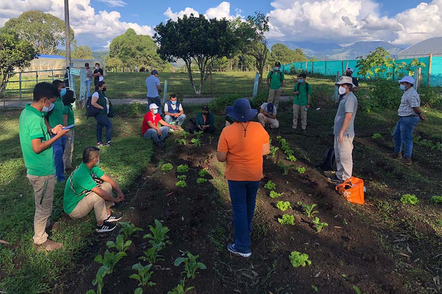 Imagen sobre la competitividad y sostenibilidad de las economias rurales