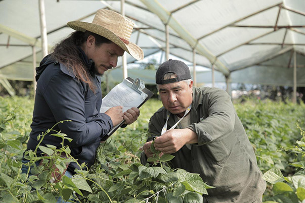 $4.800 millones del Fondo Emprender del SENA para promover el emprendimiento colombiano