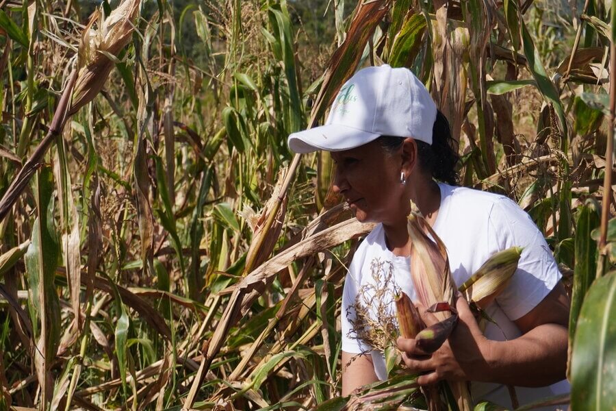 Esta iniciativa está conformada por 18 personas del departamento del Cauca. La mayoría de ellos son personas de la tercera edad,