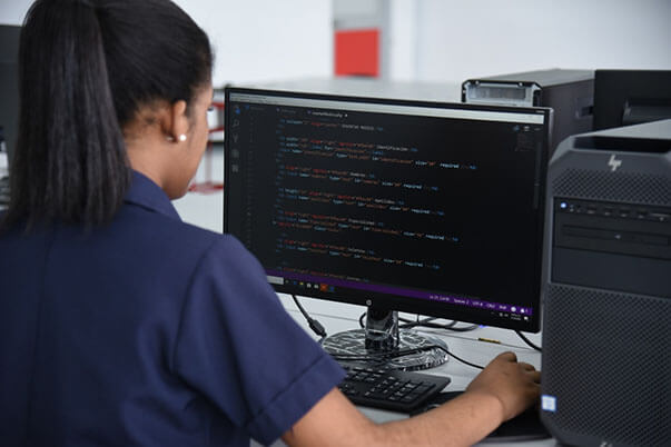 Durante la formación se darán contenidos en cuatro temáticas relacionadas con habilidades digitales y programación de software