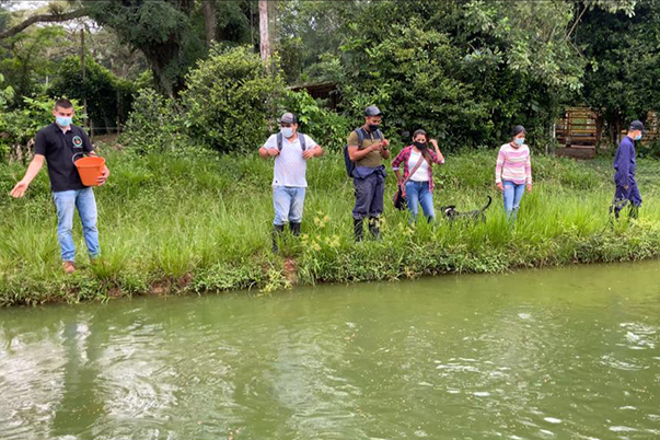 Con este tipo de formaciones, aplicadas al contexto regional