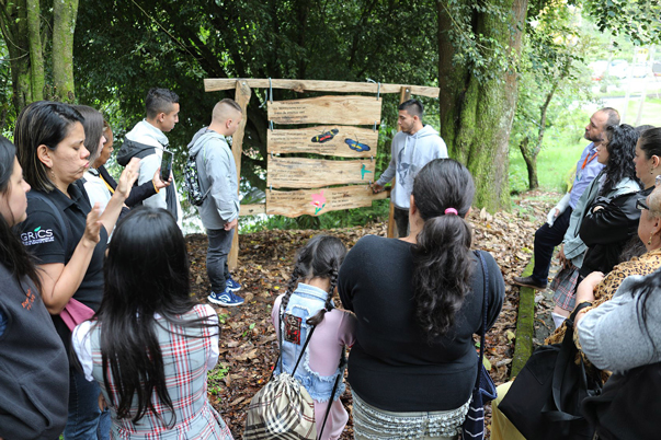 Jóvenes con capacidades diferentes convirtieron zona verde en sendero ecológico