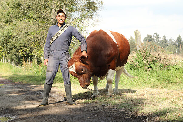 los aprendices contratados apoyarán las áreas de cunicultura, capricultura, ganadería, ovicultura y agricultura.