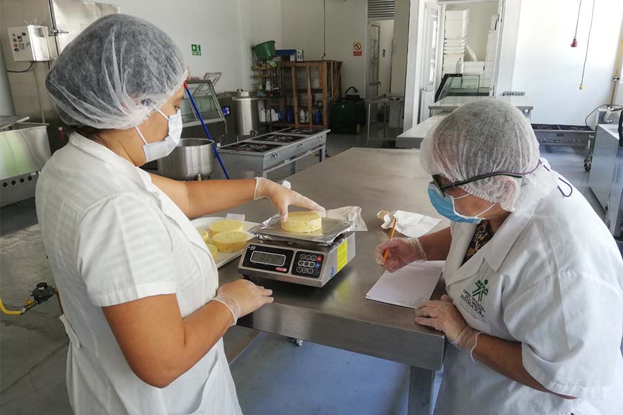 Imagen sobre el impulso de SENNOVA que fortalecen los semilleros de investigación en Caquetá