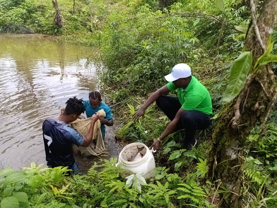 image SENA Chocó y empresa local transforman la industria agropecuaria