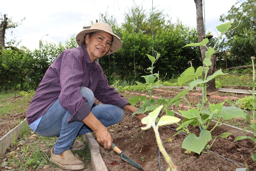 Un proyecto que nació de la necesidad para conseguir alimentos durante la época de la pandemia por el Covid-19, está revoluciona