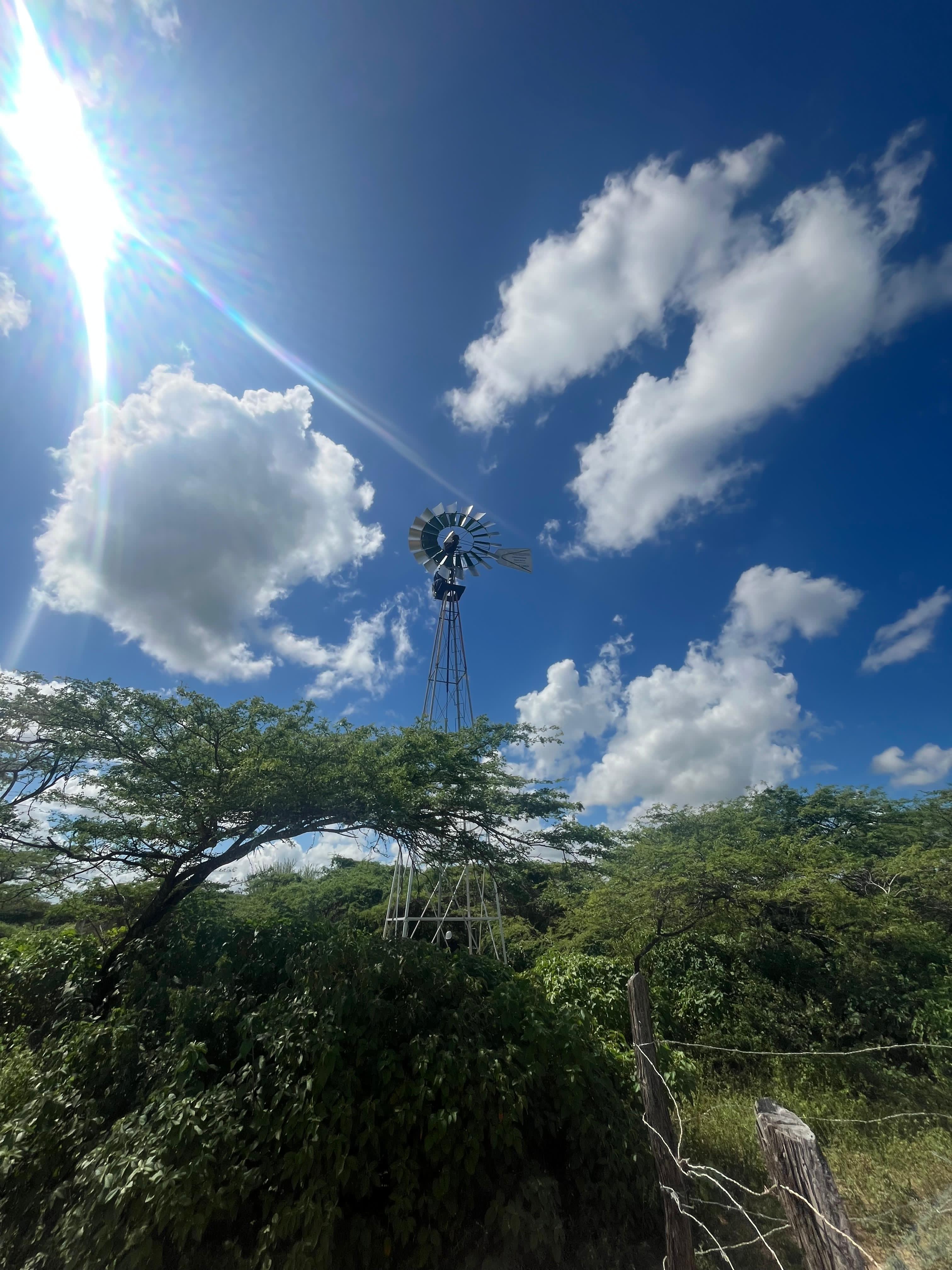 El SENA lleva esperanza a las comunidades Wayú con la reparación de molinos de viento