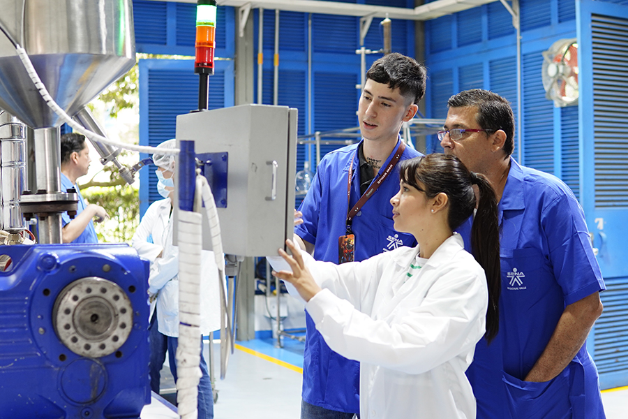 Pie de foto 1VALLE12624