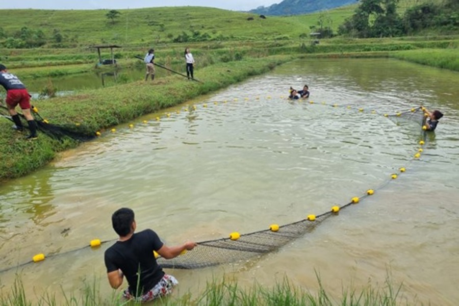 La acuicultura es una actividad clave para el desarrollo sostenible en muchas regiones de Colombia.  