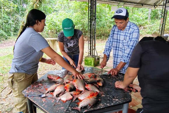 rabajar con peces de la región ayuda a promover la biodiversidad y el uso sostenible de los recursos acuáticos.