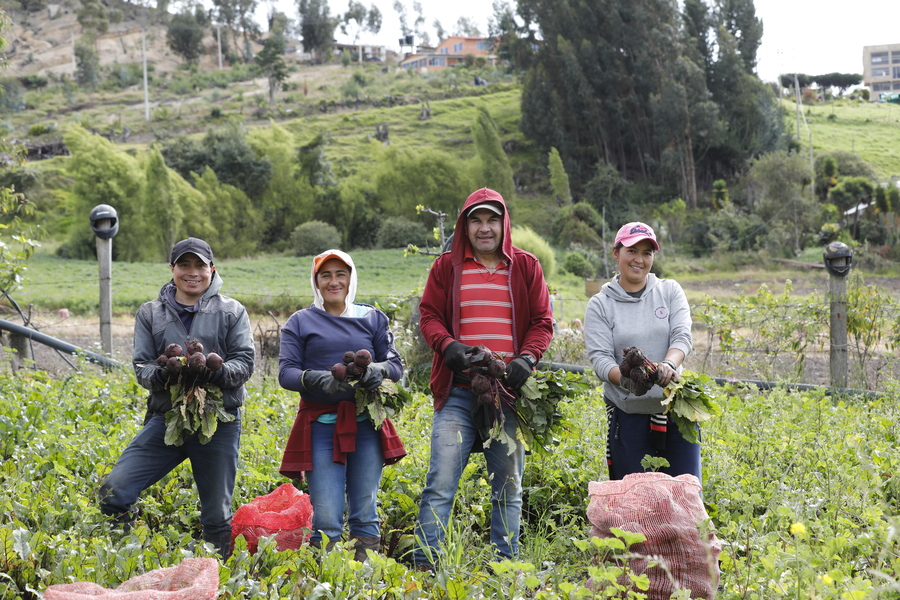 221 Organizaciones campesinas postularon sus proyectos al nuevo programa de formación para la población campesina 