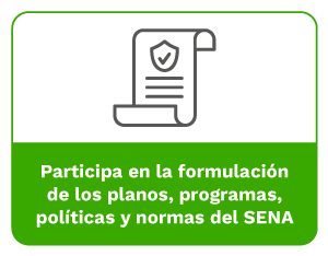 Participa en la formulación de los planes, programas, políticas y normas del SENA