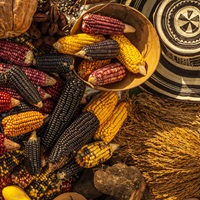 Libros de cocina ancestral