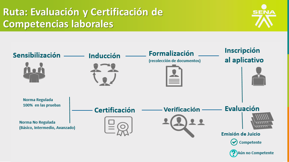 ruta proceso de certificación